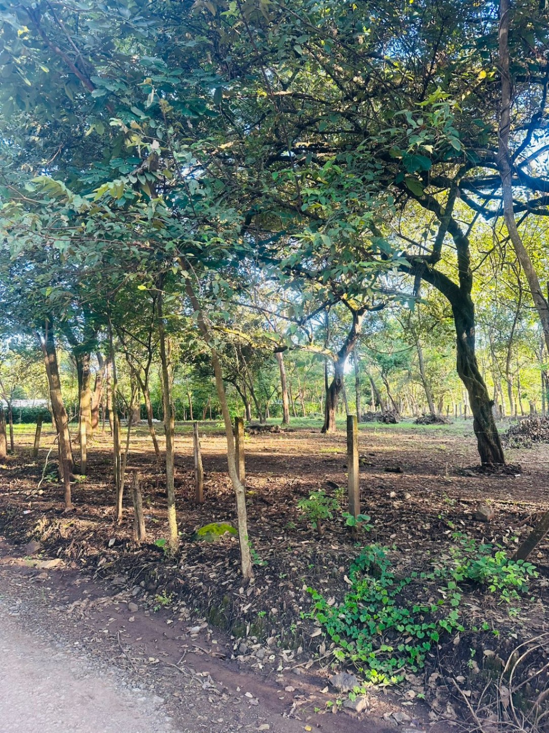 Terreno de 1.026 m² con potencial comercial y residencial