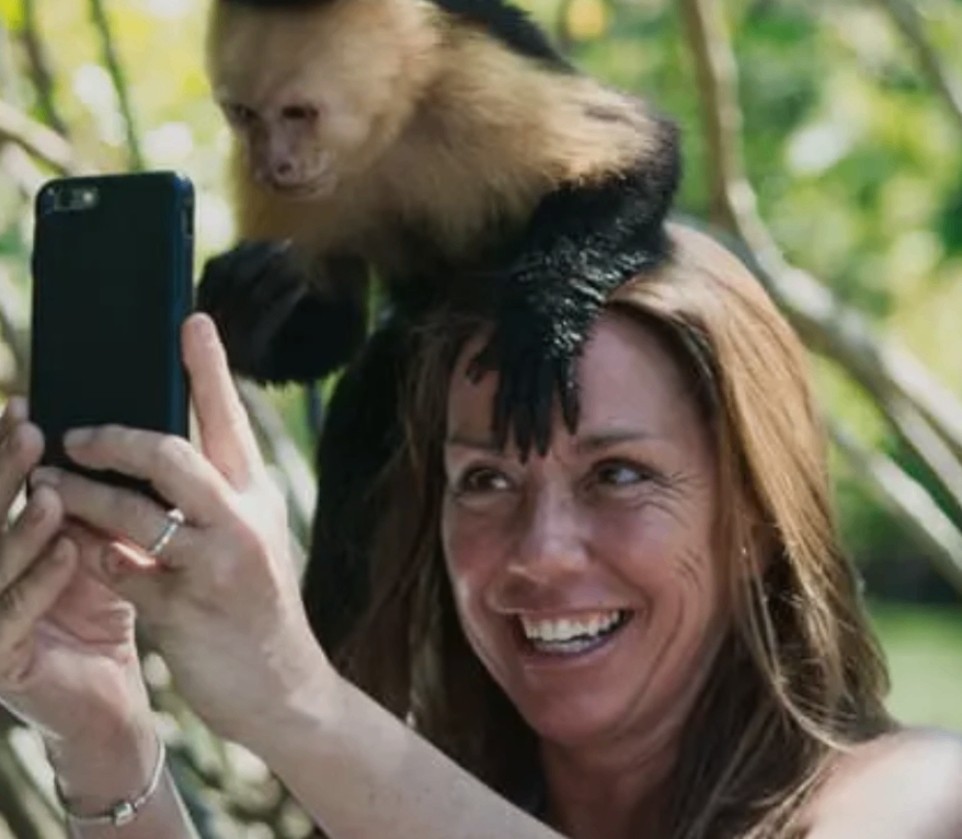 🐒 Monkey Mangrove Tour from Jacó | Close-Up Wildlife Experience