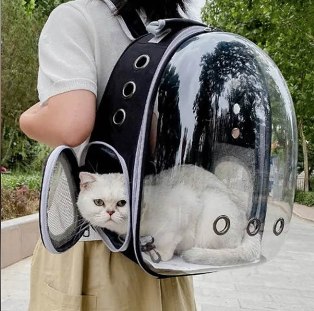 Mochila transportadora para mascota – Santa Teresa
