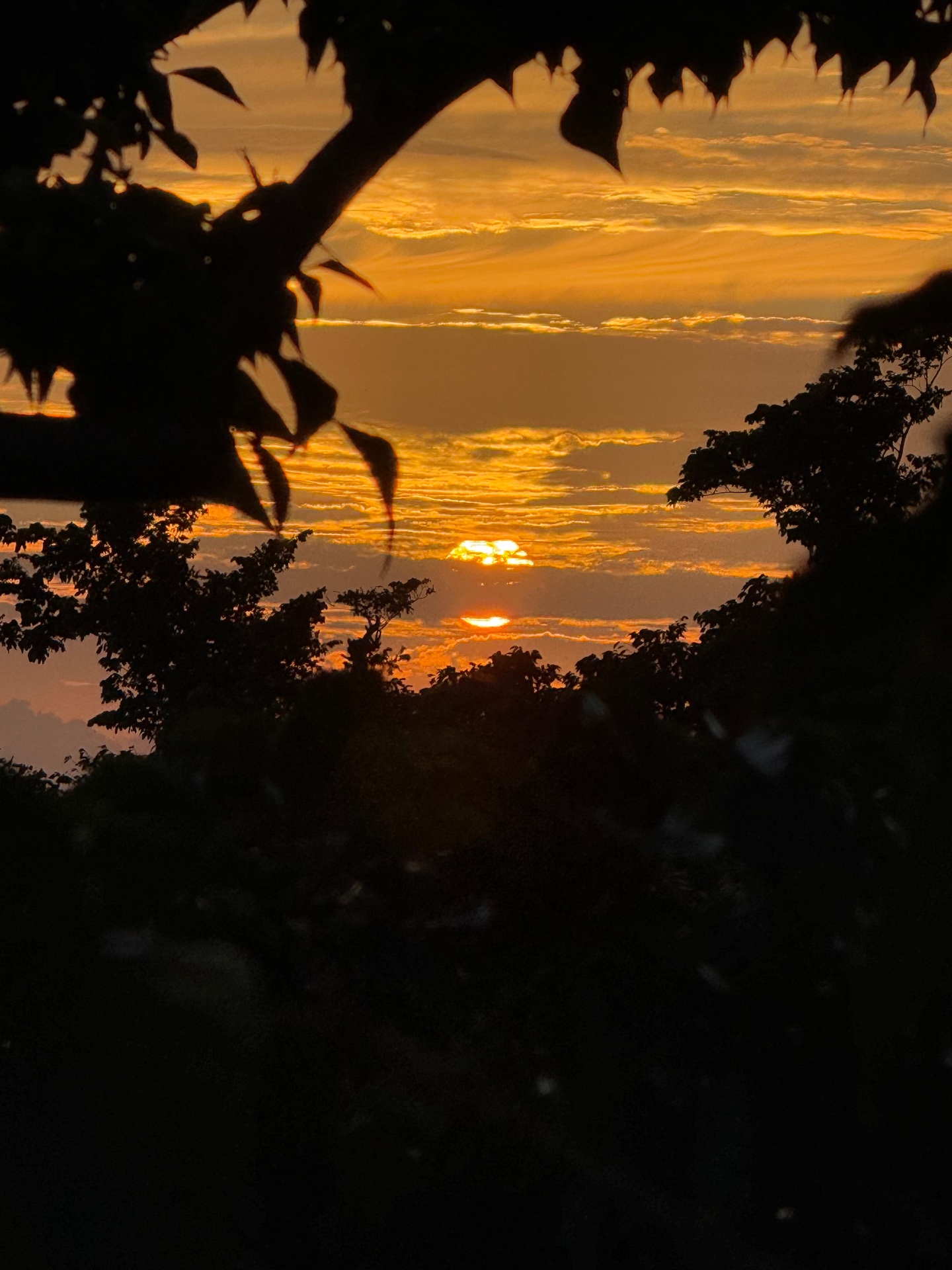 Finca de 13 Hectáreas en San Ramón, Alajuela – Vista al Pacífico