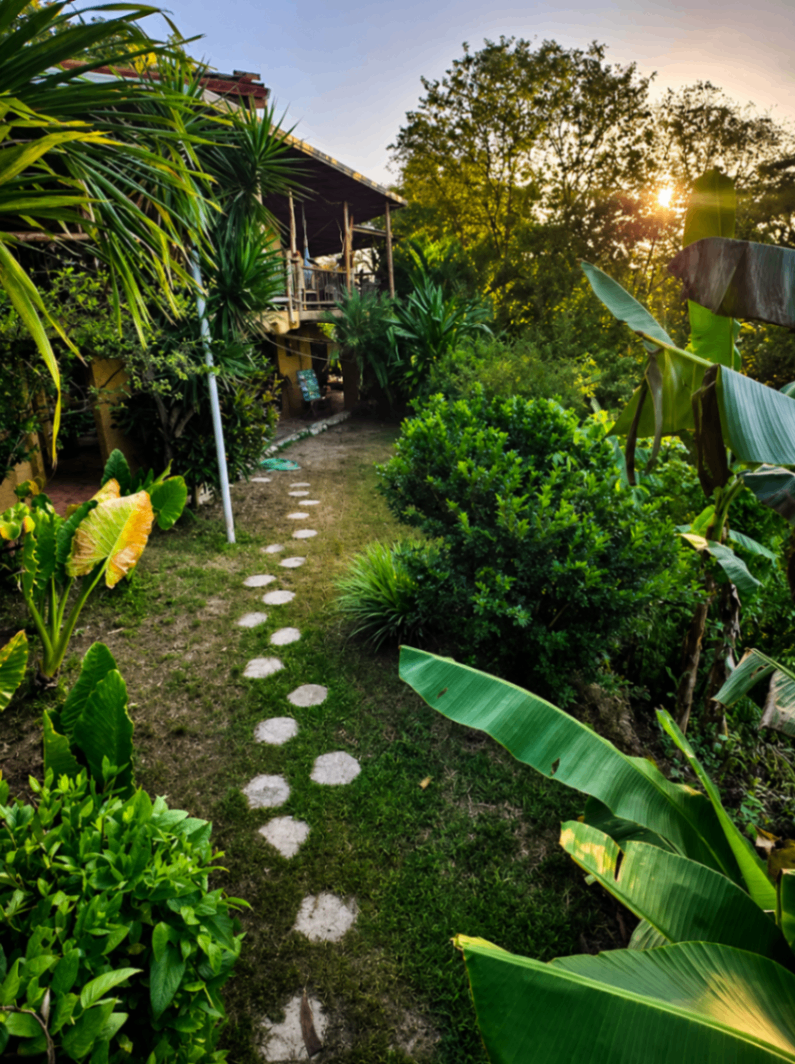Bed & Breakfast Nosara Costa Rica | Ocean View Hotel