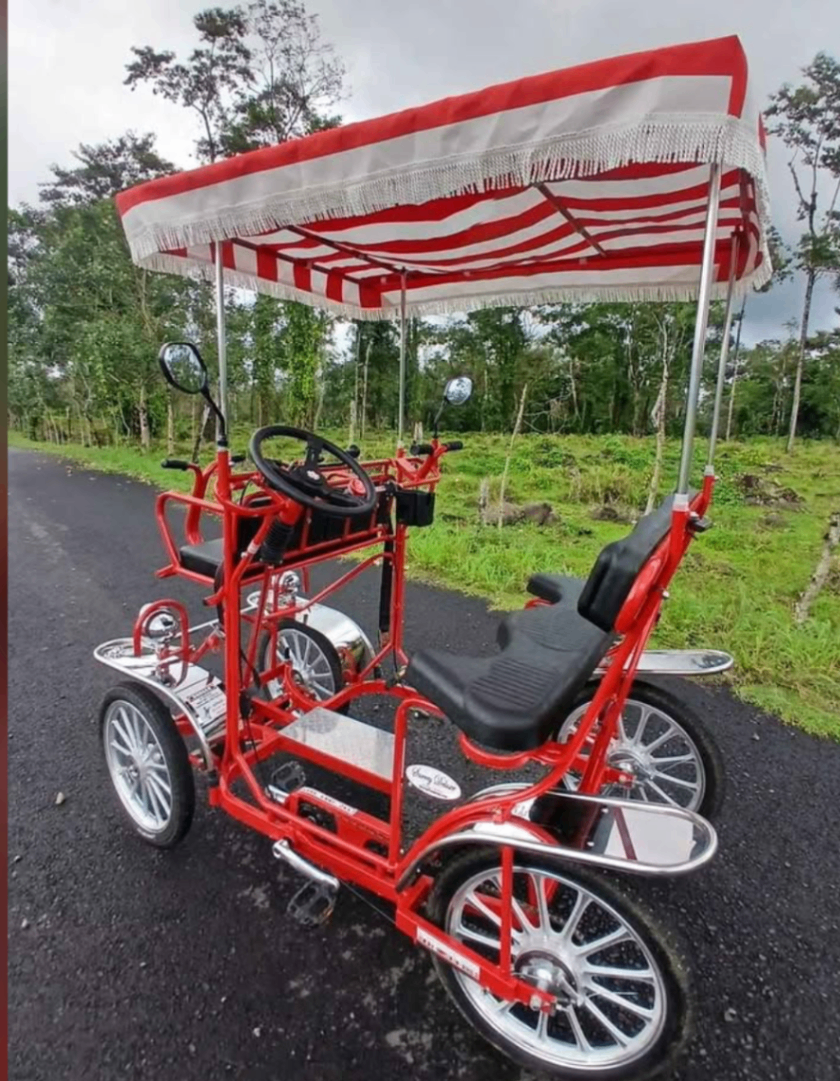 Bicicletas para 4 Personas en Venta – Importadas de USA - Tamarindo