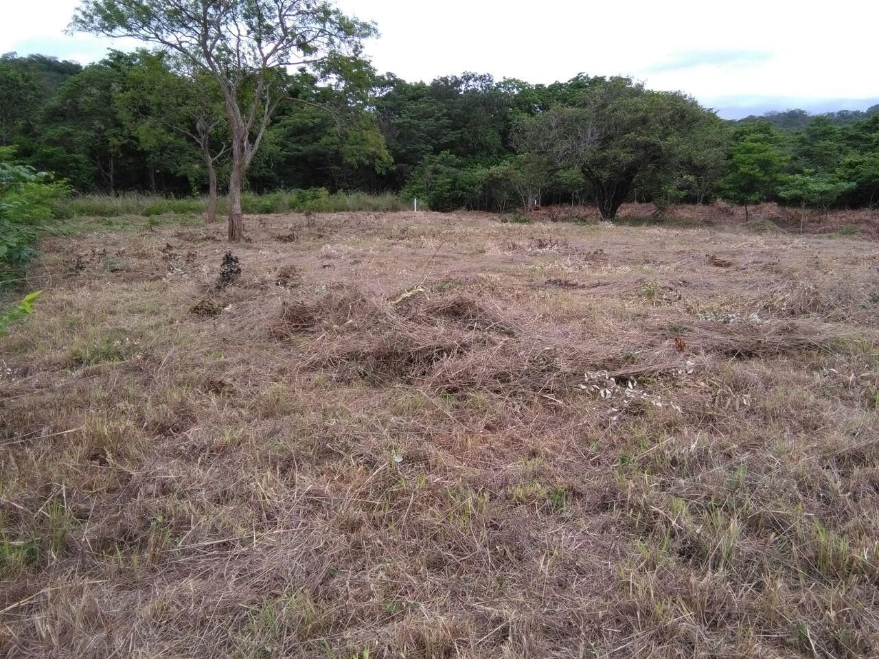 Oportunidad Única: Lotes Planos con Servicios y Vista a Montañas