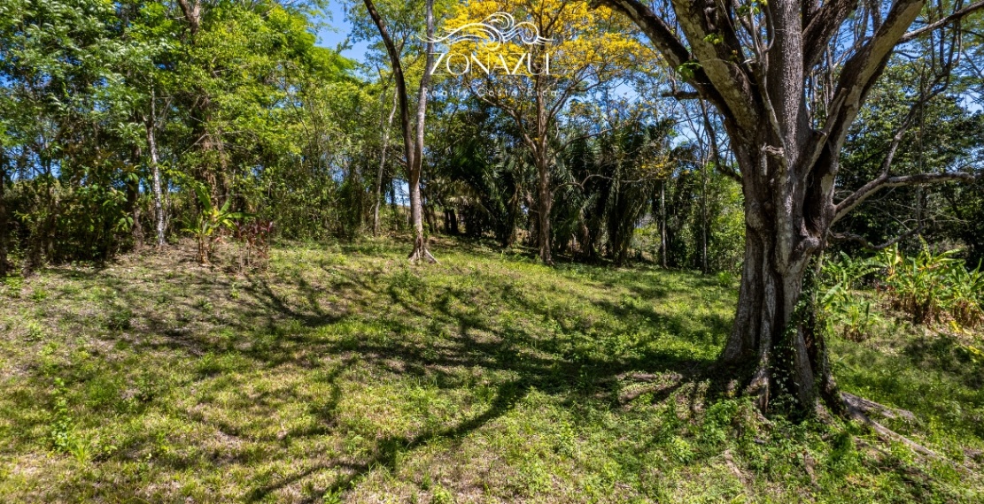 Prime Mixed-Use 1.76 Acres Land 14min from Malpais, Santa Teresa