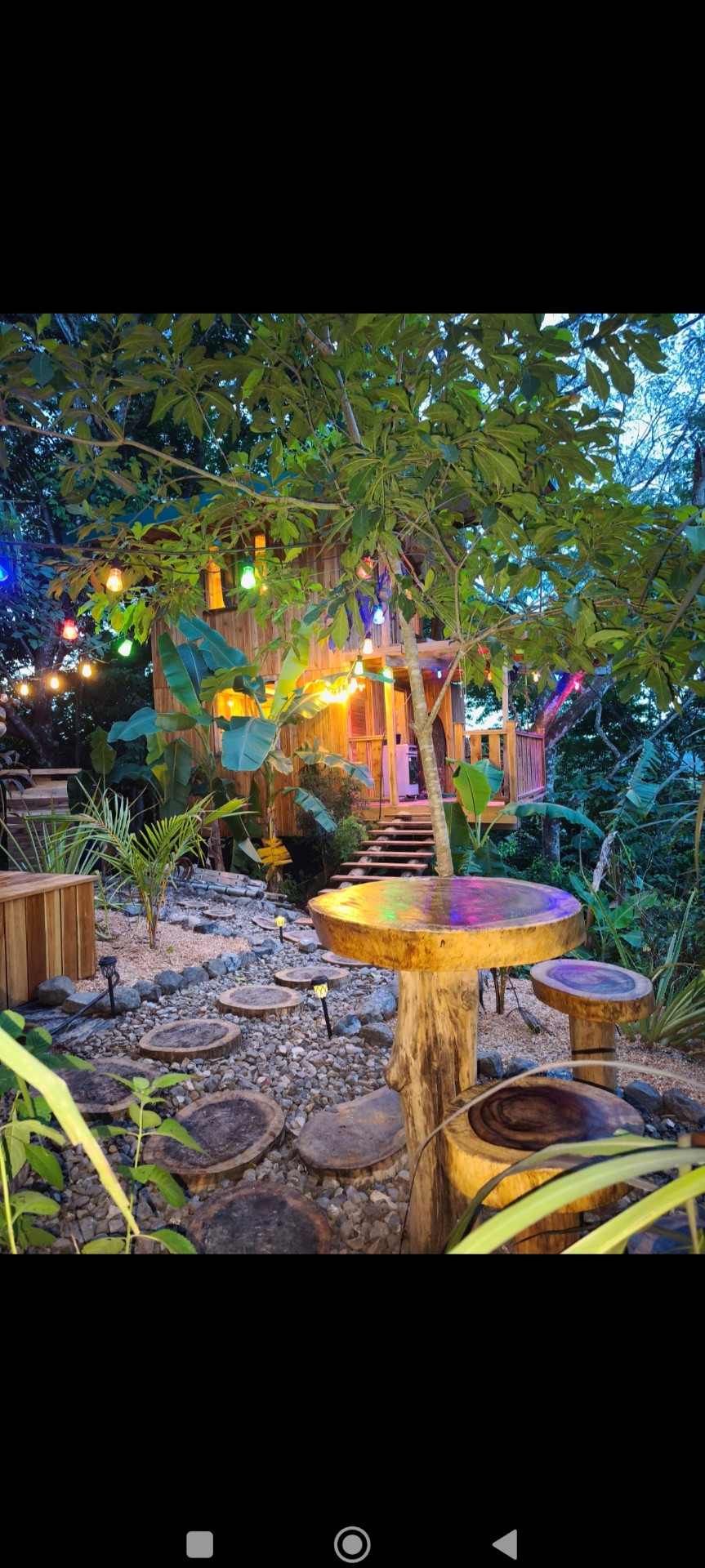 Cabane dans l’arbre au Costa Rica 🇨🇷