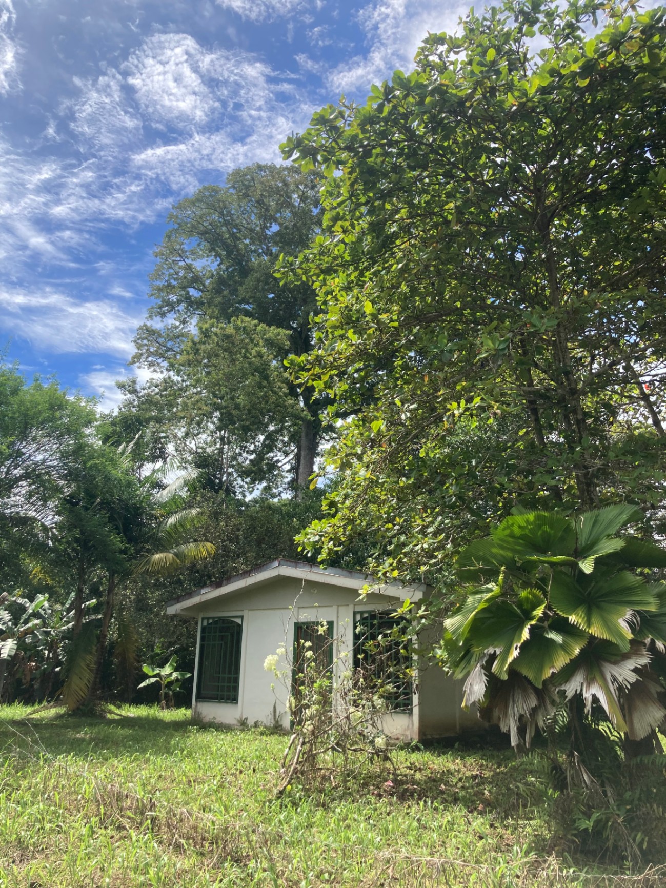 OSA PENINSULA SANCTUARY: 1.2 acres near Puerto Jimenez