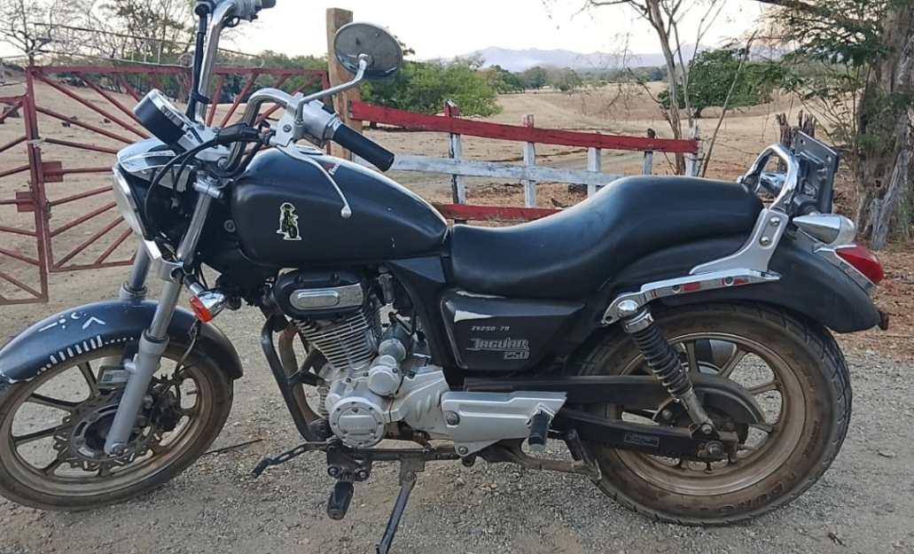 Freedom Jaguar 250 2021 en Venta – Todo al Día - Tamarindo