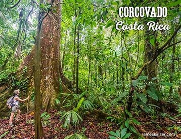 TOUR AL PARQUE NATIONAL CORCOVADO