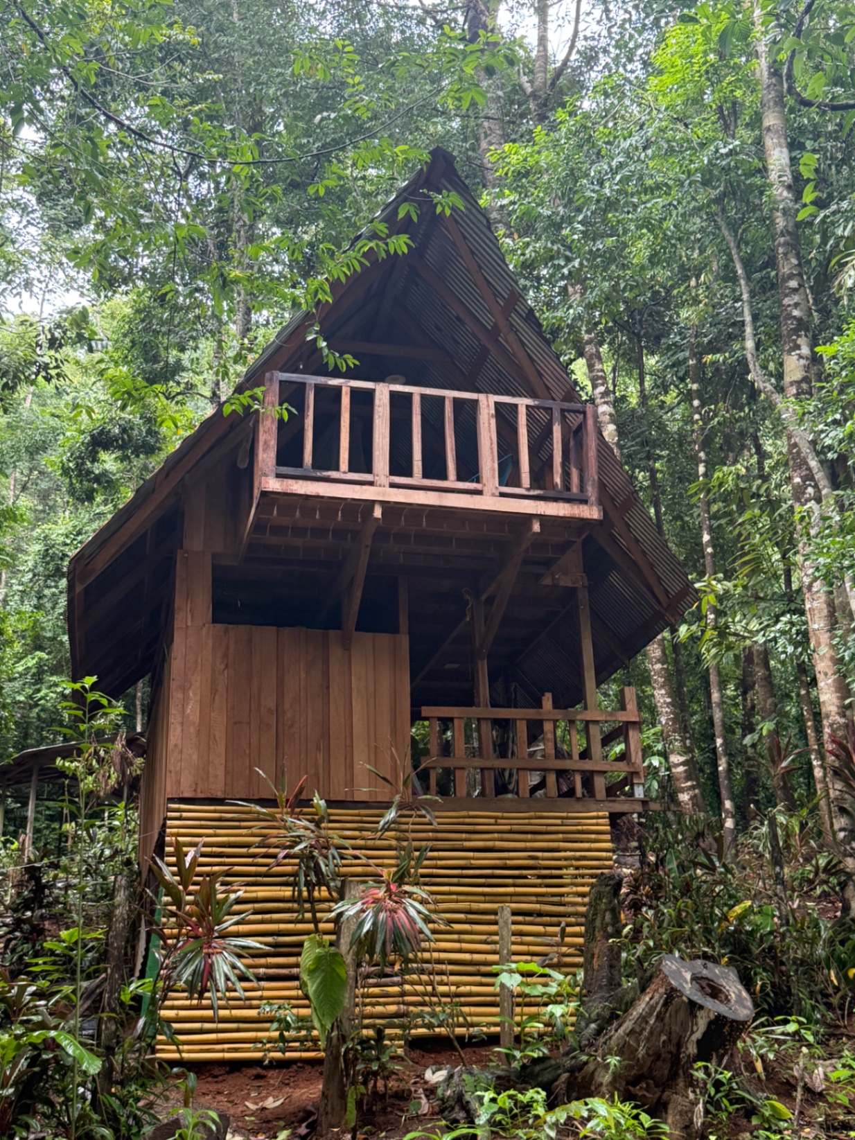 Jungle house 80m from water