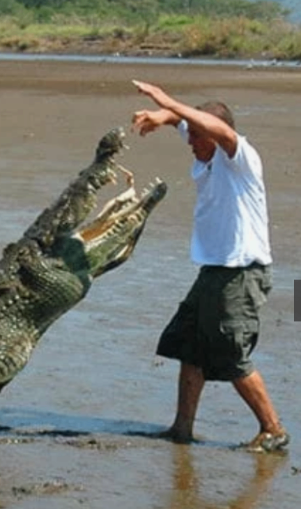 Crocodile Tour Tarcoles River | Tour de Cocodrilos near Jacó 