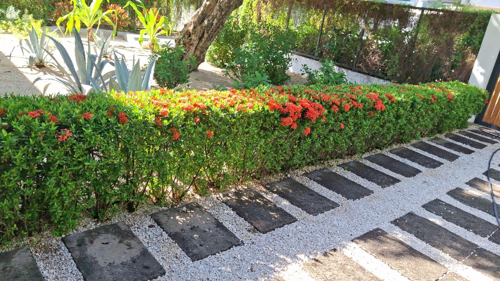 Servicio de diseño de jardines,  mantenimiento de jardines y fumigacio
