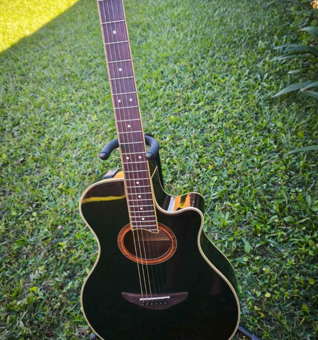 Guitarra de Alta Gama en Venta – Sonido Profesional - Tamarindo