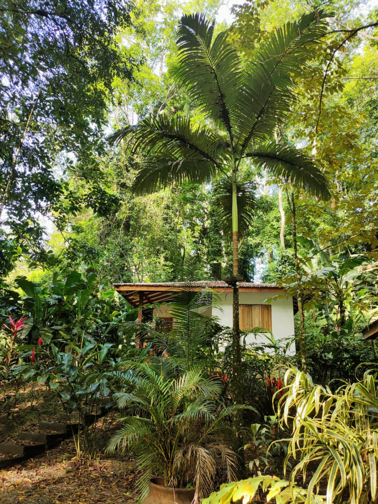 🌿 Ecolodge auténtico, se vende llave en mano, en un lugar mágico