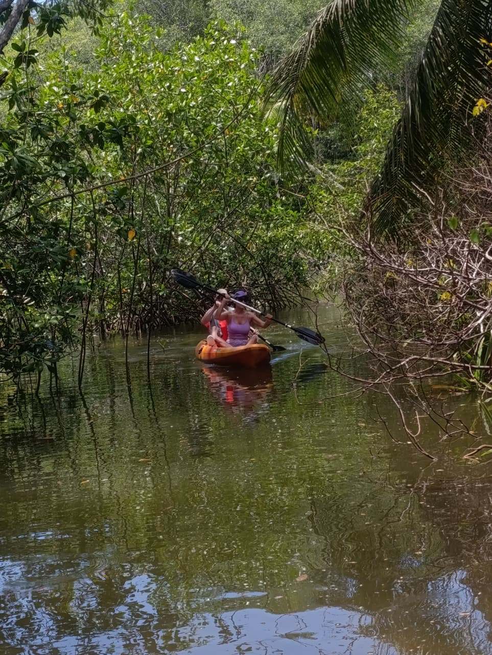KAYAK EN MANGLAR