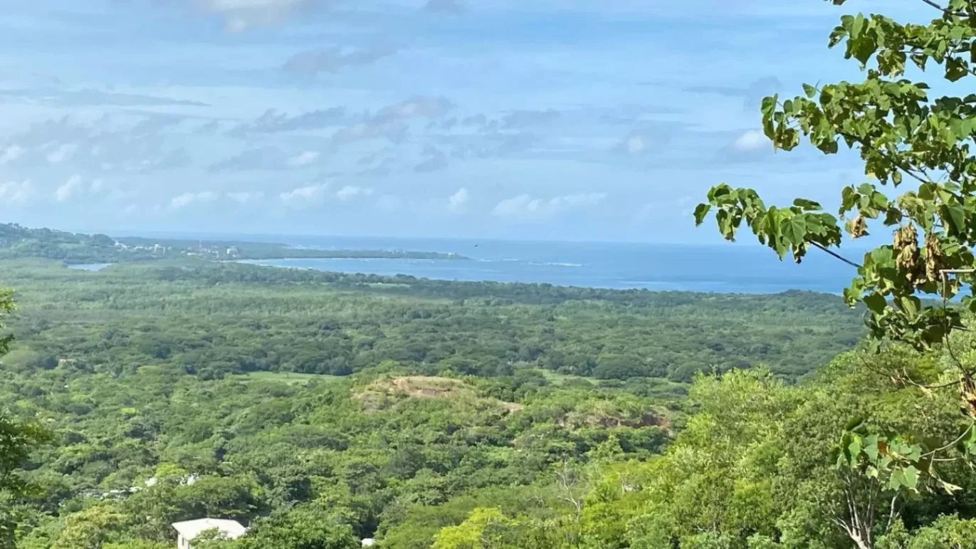 Exclusive 2,200 m² Lot in Matapalo – Nature & Great Investment Poten
