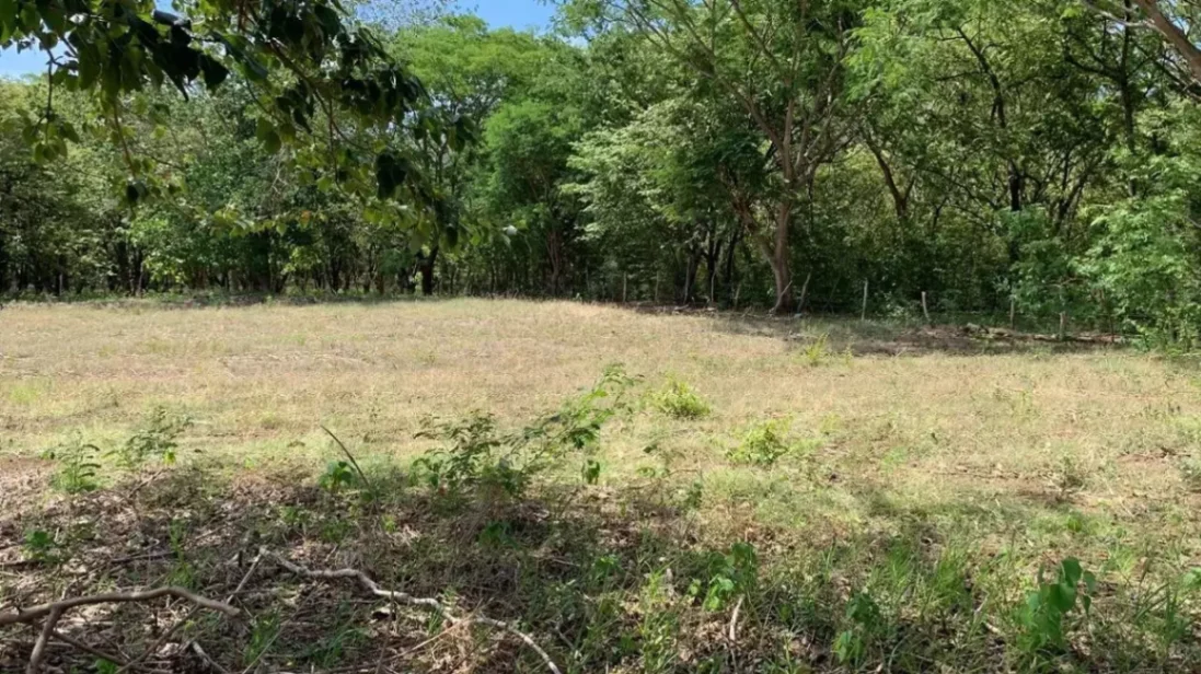 Lote listo para construir con todos los servicios cerca de Tamarindo