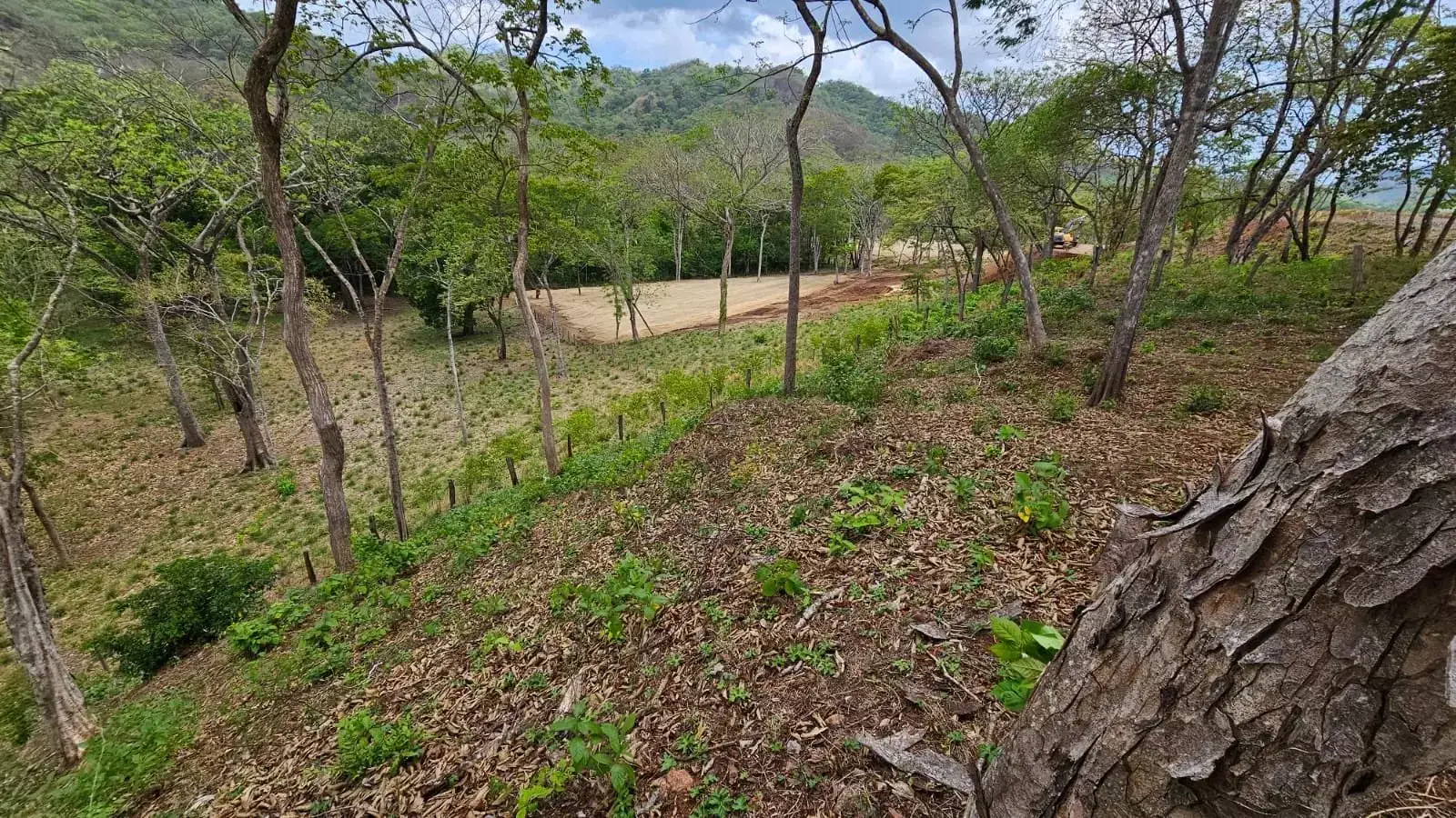 Lote de 5.050 m² en San Francisco de Santa Cruz, Guanacaste