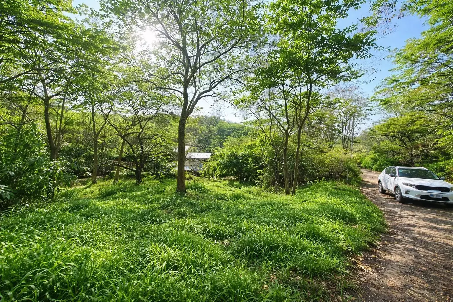 Hermoso Terreno de 5.001 m² Rodeado de Naturaleza