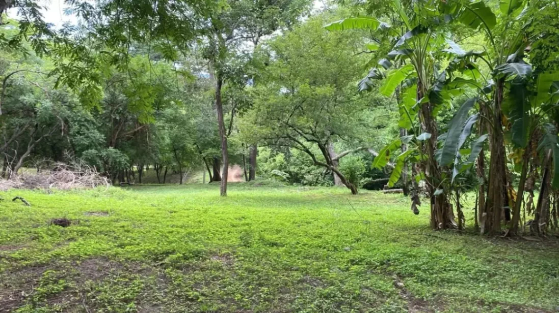 EXCLUSIVE – 5000 m² lot near Tamarindo. Located in one of the most sou