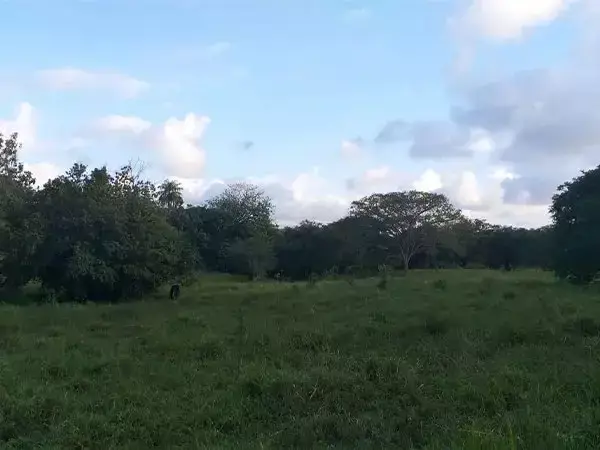 EXCLUSIVIDAD Finca de 14 hectáreas con gran potencial de inversión