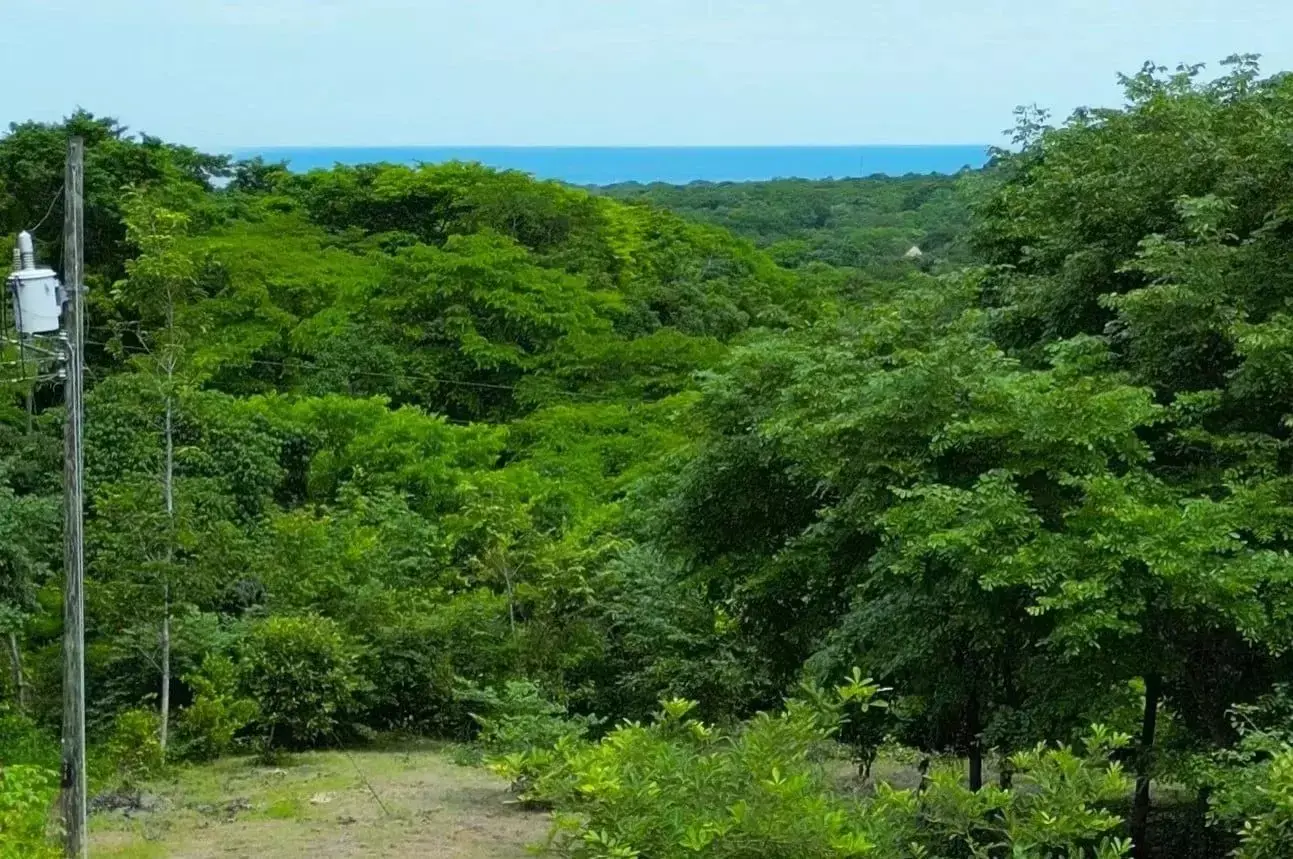 Lote en Playa Negra, Costa Rica