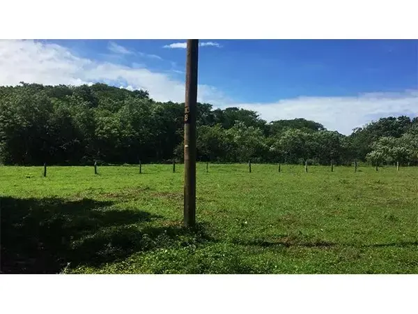 EXCLUSIVIDAD | Finca divisible de 8 hectáreas 
