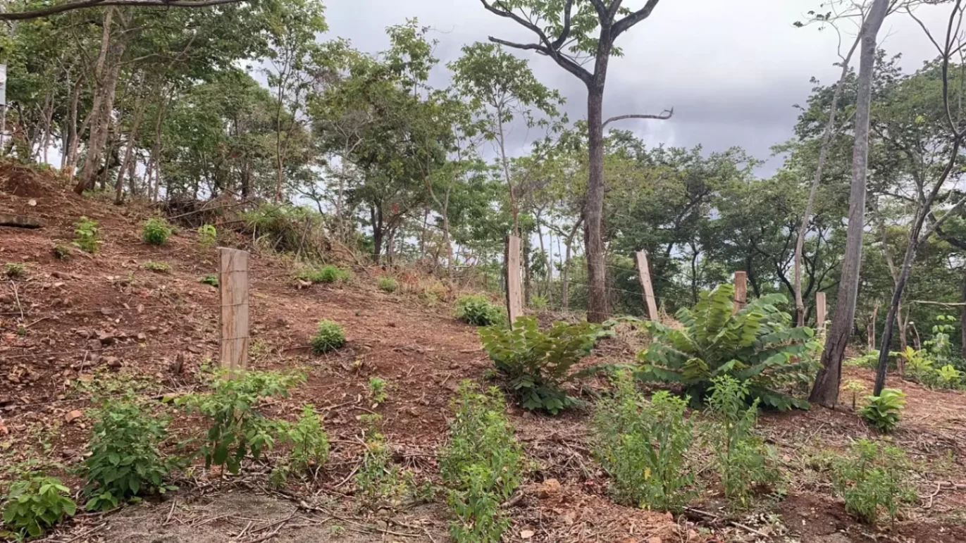 EXCLUSIVIDAD | Lote comercial y residencial en venta entre Huacas y Villarreal – 2.273 m²