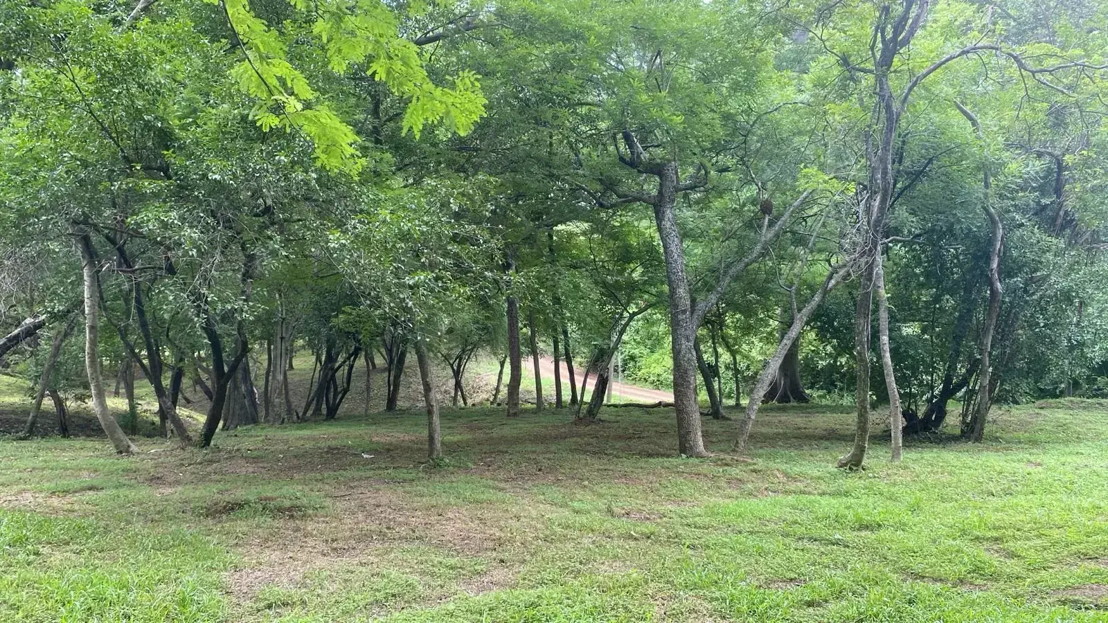 Dos lotes de 11.332 m² ideales para proyecto residencial o turístico.