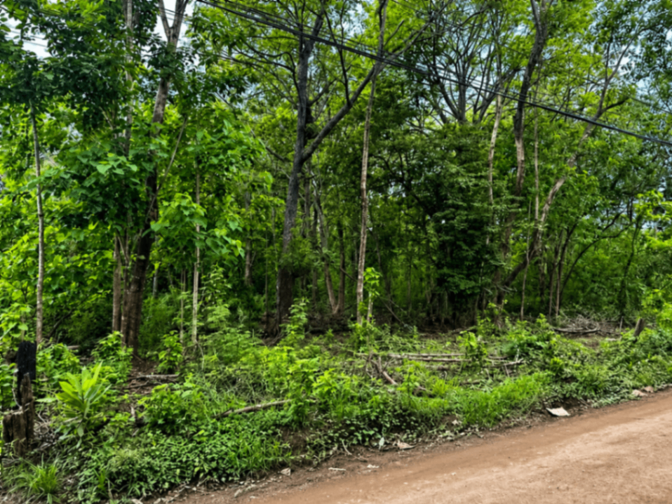 EXCLUSIVIDAD | Lote plano de 5.000 m² en venta en Villarreal cerca de Tamarindo
