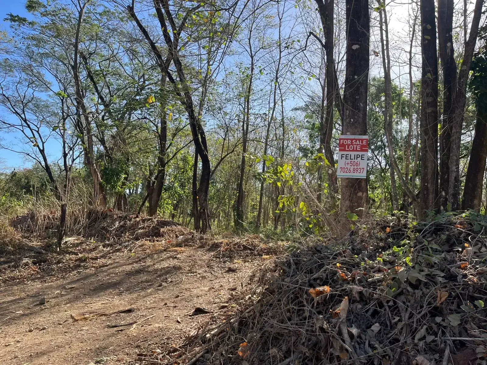 ¡Invierte Cerca de Tamarindo! Lote de 1.106 m²
