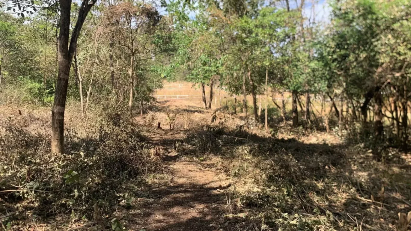 Lote Residencial en Guatemala de Santa Rosa