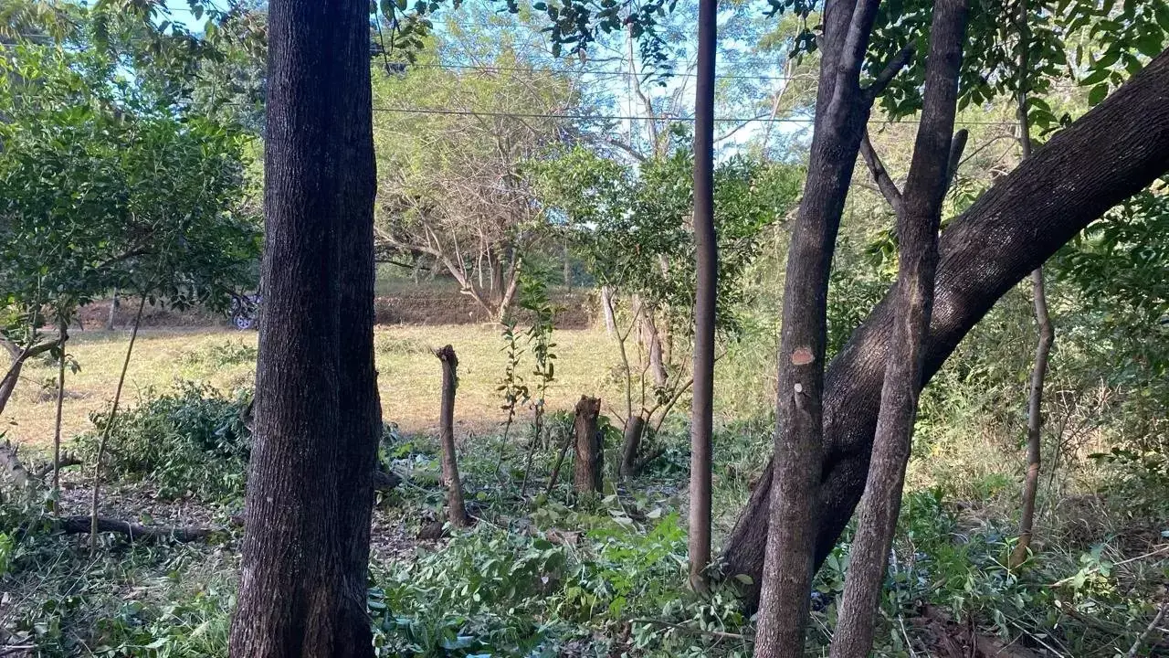 Lot for sale in Playa Grande Guanacaste