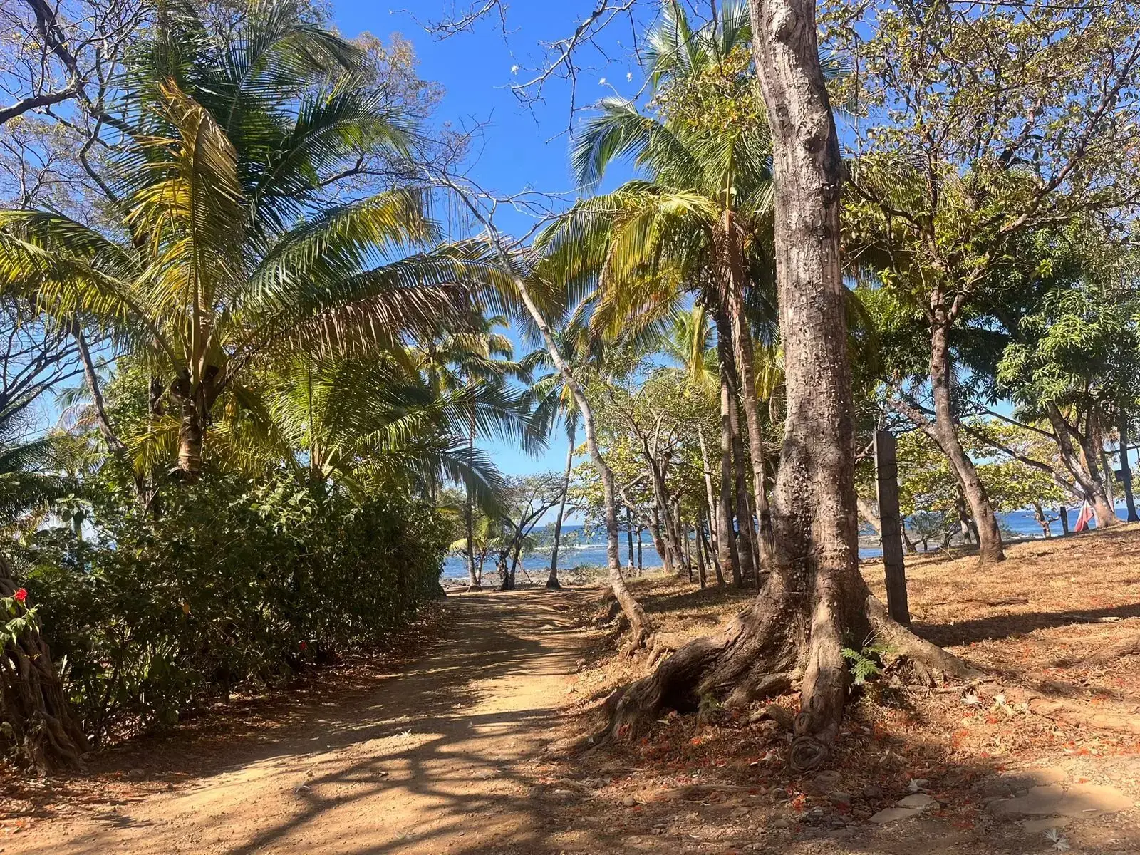 Los Pargos 2 – Exclusivo Lote Ecológico a Solo 4 Minutos de Playa