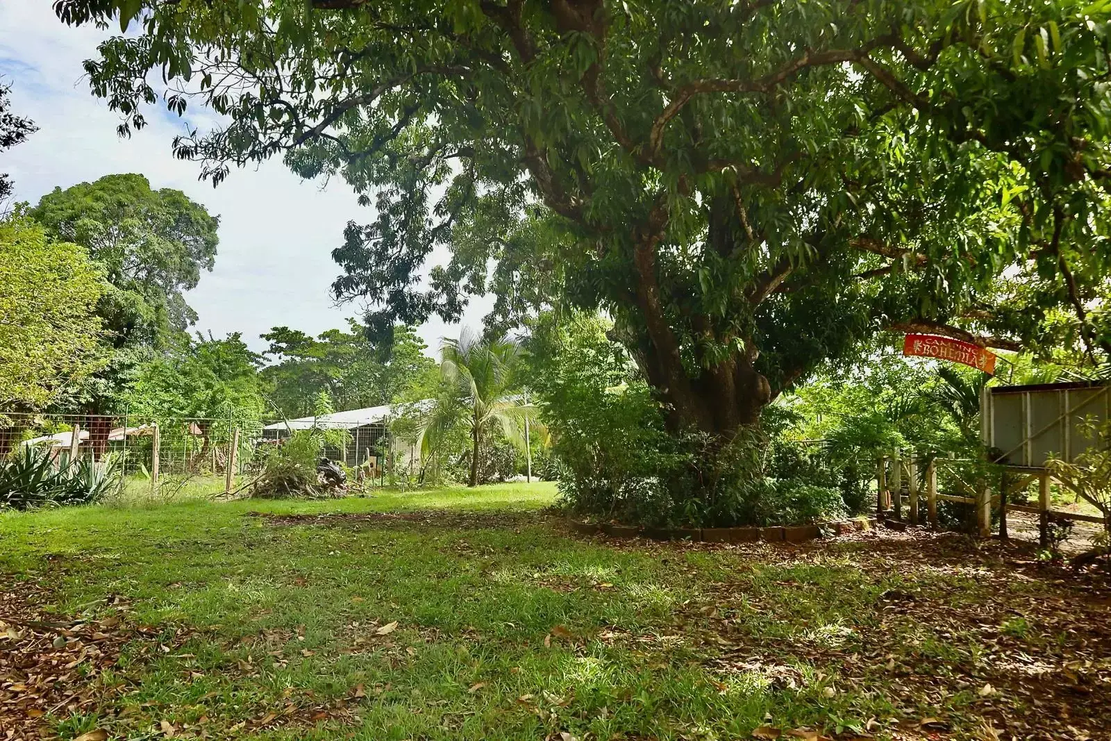 5 Lotes en Salinitas, Playa Grande — Listos para Construir