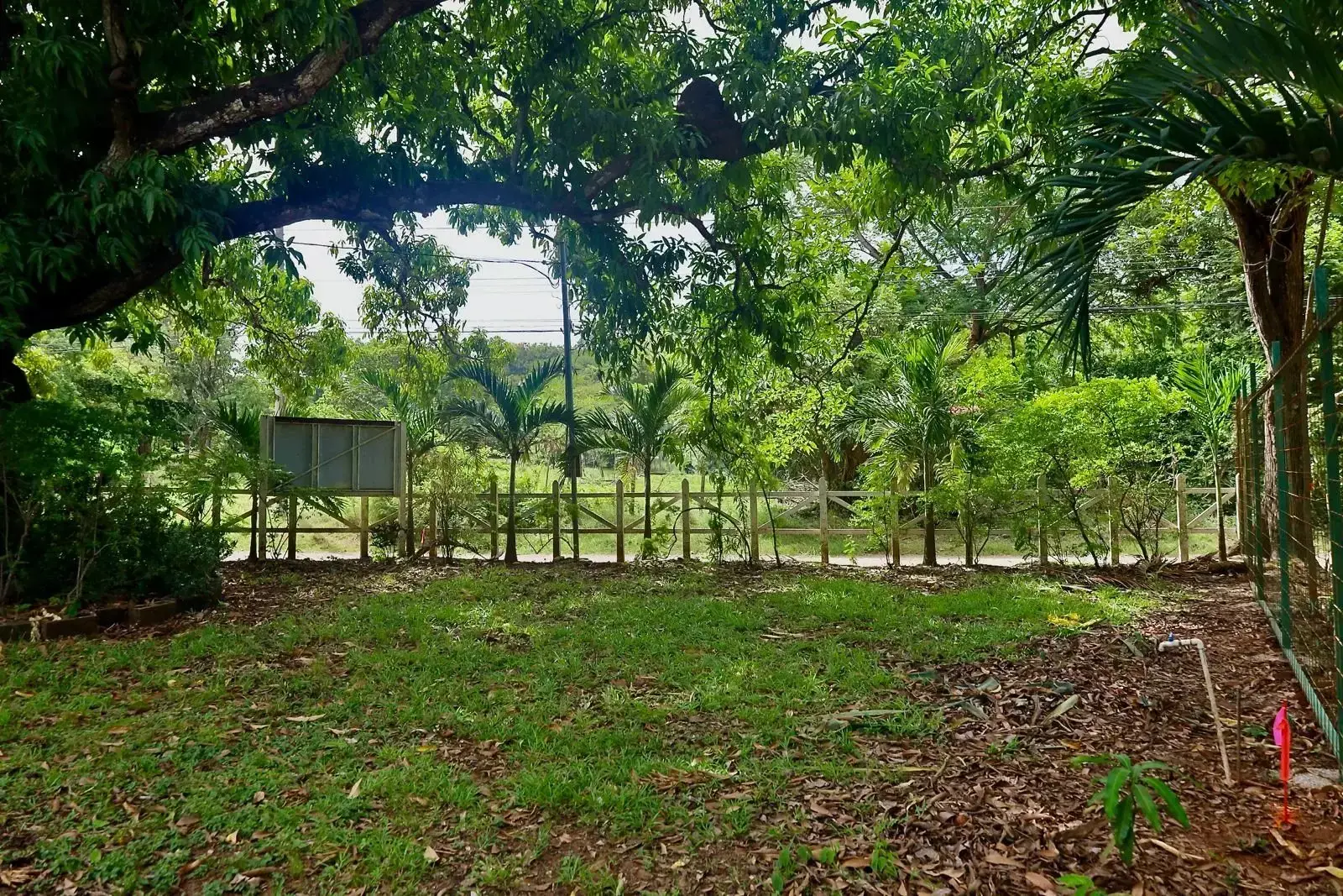 5 Lotes en Salinitas, Playa Grande — Listos para Construir