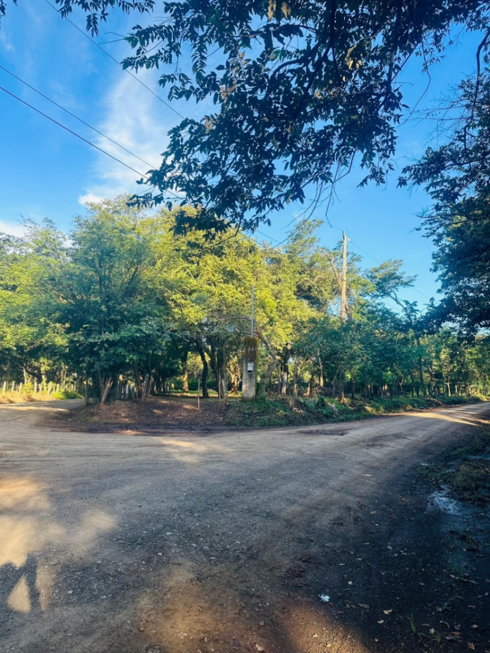 EXCLUSIVIDAD | Lotes en Venta en Tamarindo (Linderos) – 600 m²