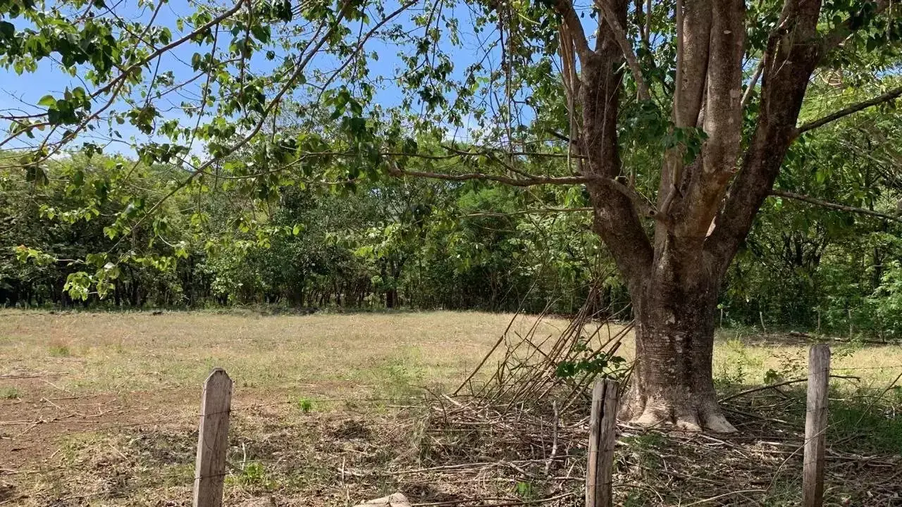 Lote listo con todos los servicios muy cerca de Tamarindo