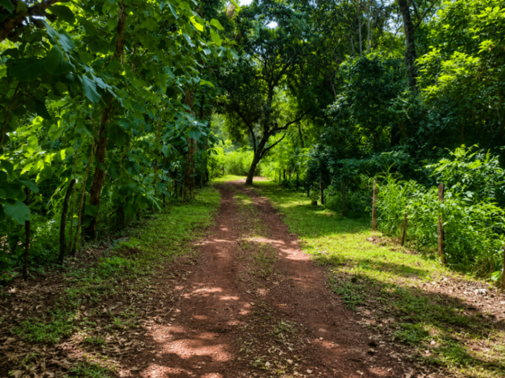 EXCLUSIVIDAD | Lotes en residencial privado cerca de Tamarindo