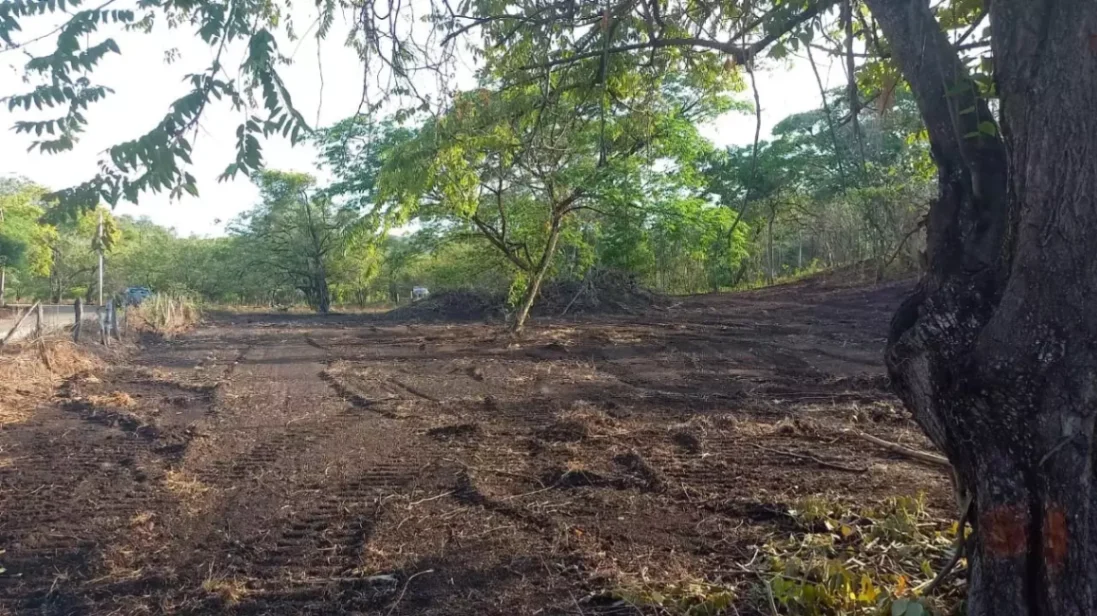 Invierte Cerca de Playa Grande: Lotes Amplios y Privados