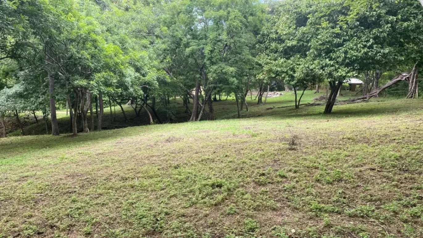 Exclusivo: Lote de 5,000 m² cerca de Tamarindo
