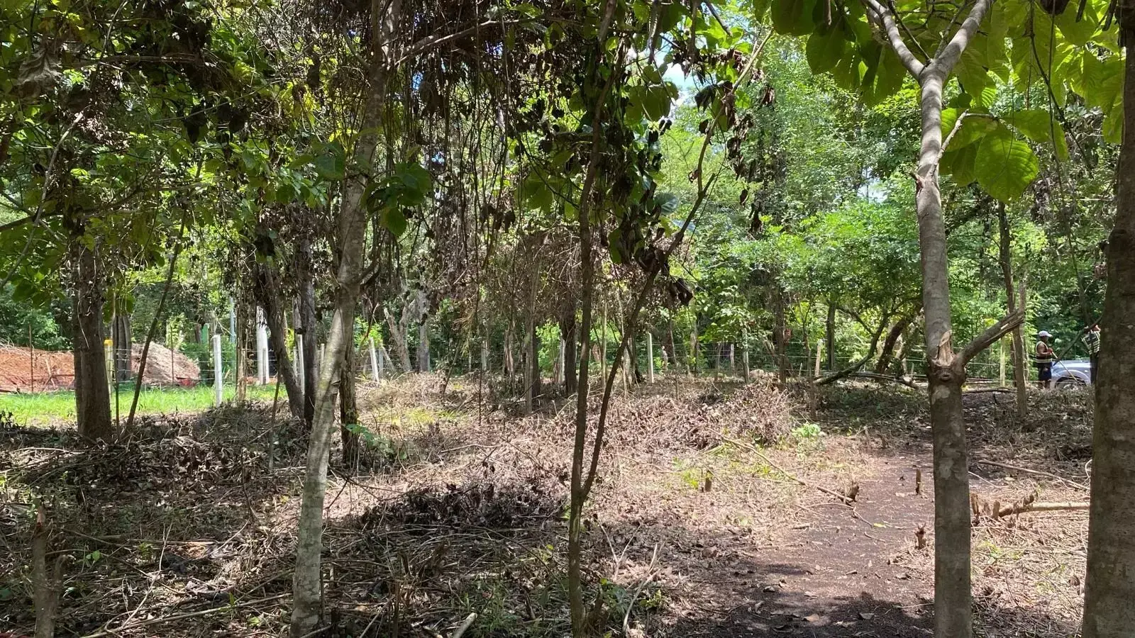 Amplio lote de 3.388 m² a pocos cientos de metros de la playa 