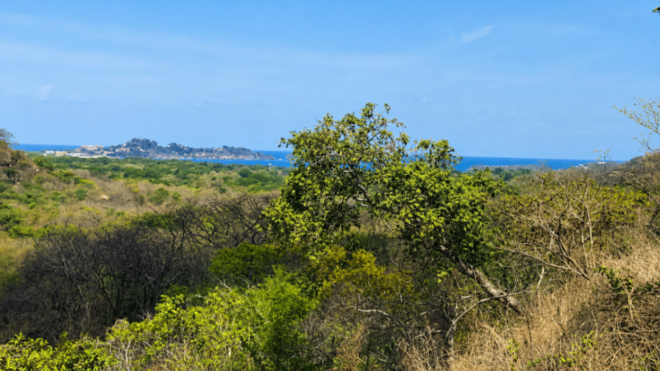 EXCLUSIVIDAD | Lote de 12.595 m² con vista al mar cerca de Playa Flamingo