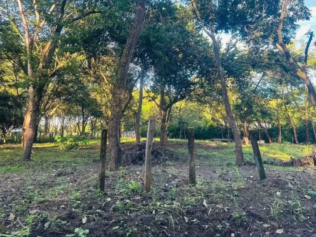 Exclusividad: Lote de 1,026 m² comercial y residencial.