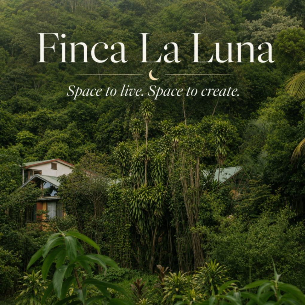 Looking for Creative souls for renting a home in nature