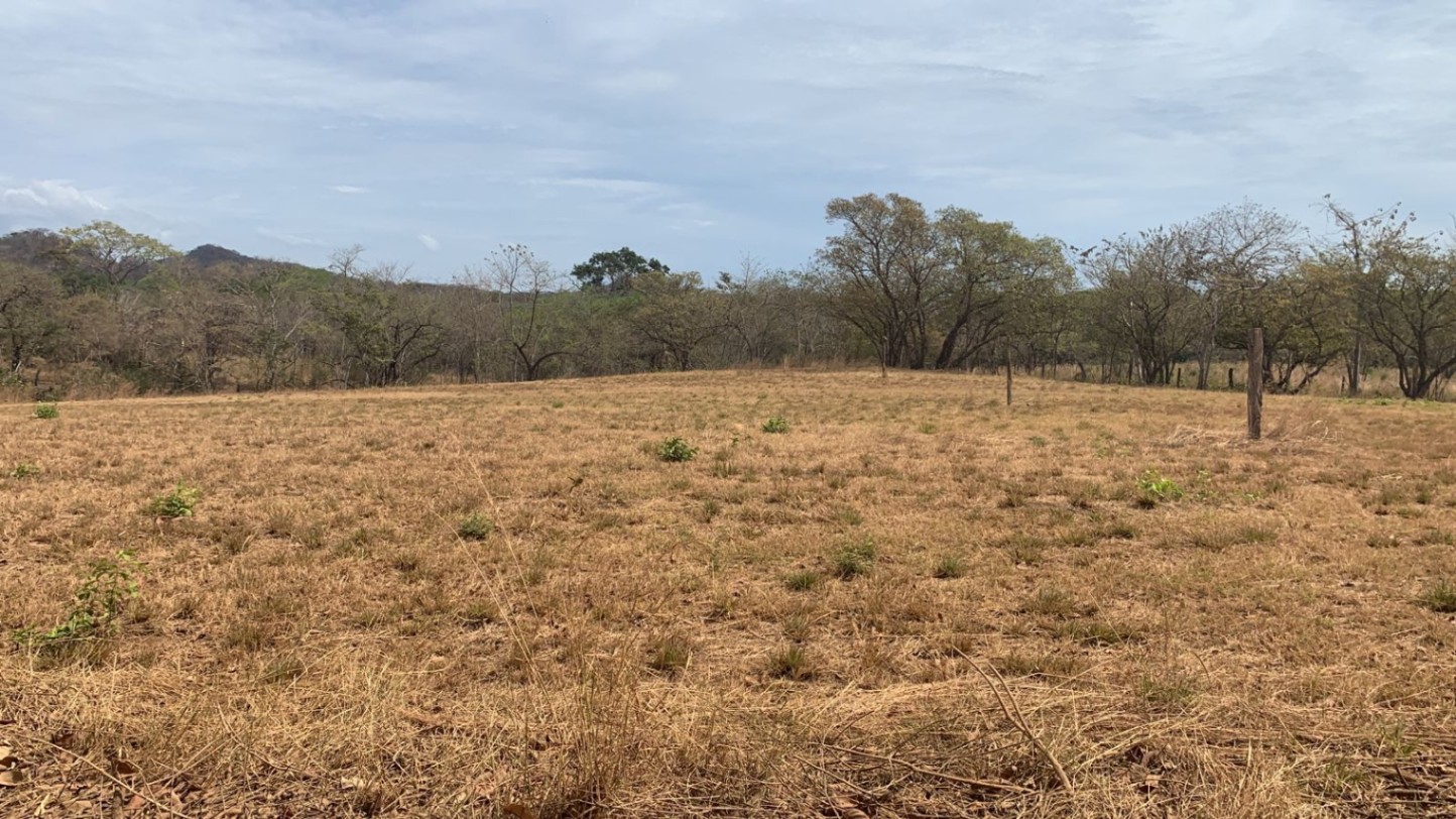 Oportunidad Única de Inversión en Avellanas, a 1 km del Mar