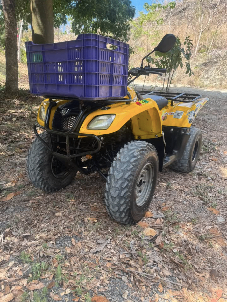 Suzuki Ozark 250cc en Cobano Costa Rica – Cuadraciclo 4x4