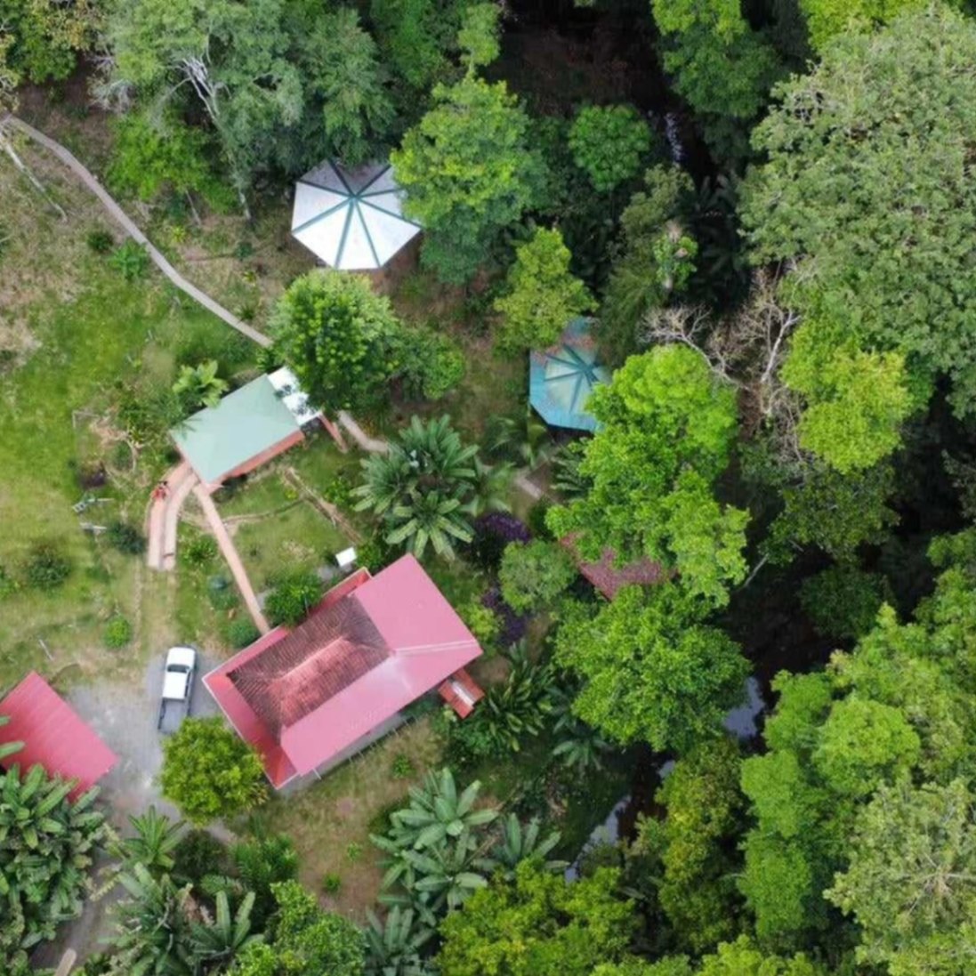 EN VENTA – ¡Finca en el corazón de la selva tropical!