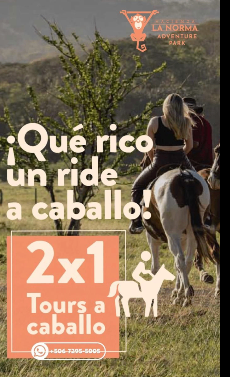 Disfruta nuestro especial 2x1 en Tours!