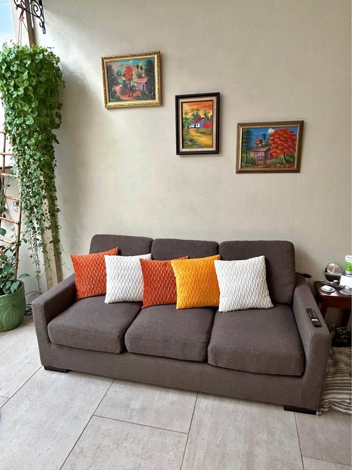 Sofá cama matrimonial en venta Alajuela Costa Rica