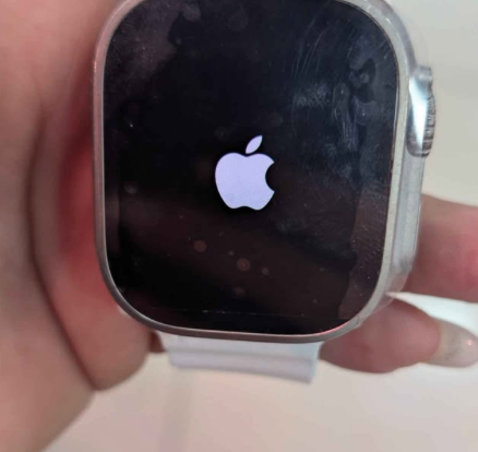⌚ Apple Watch Ultra 2 (49mm) Titanio – Batería 100% | Tamarindo